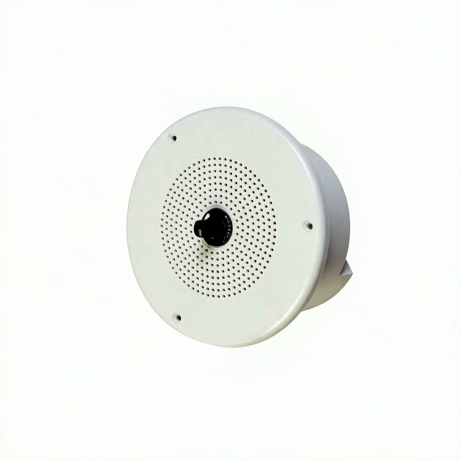 Hanshin HFS-173 船用舱室过道扬声器